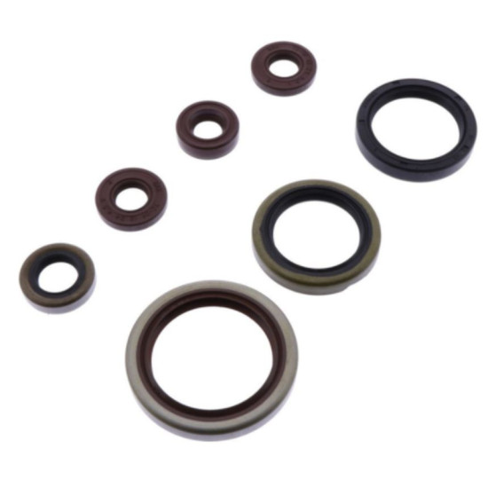 ATHENA engine gasket set SHERCO SE-R 250/300 14-20