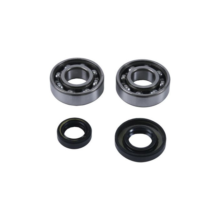 HOT RODS Crankshaft bearings KTM SX 50 04-08