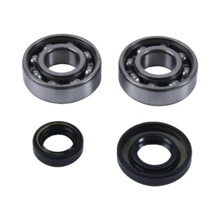 HOT RODS Crankshaft bearings KTM SX 50 04-08
