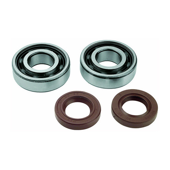 CRANKSHAFT BEARING + OIL SEALS MOTO 50cc FOR DERBI EURO2 / EURO3 / EURO4 - 6204 C4 SKF CAGE POLYA