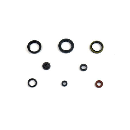 ATHENA variklio tarpinių komplektas SUZUKI RMZ 450 08-21, RMX 450Z 14-17