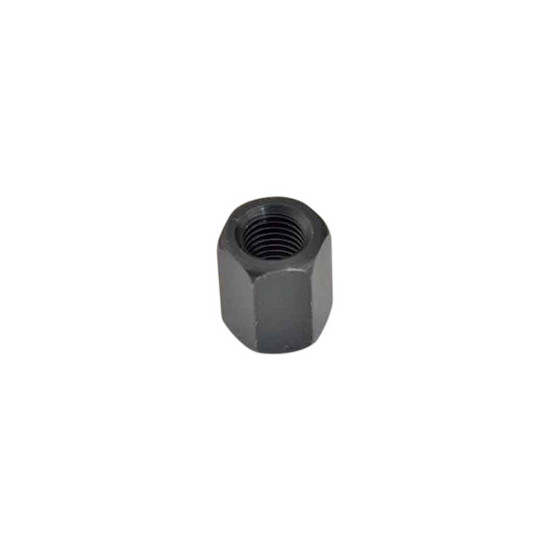 IGNITION NUT MOTO 50cc FOR AM6 (M10X1.25)