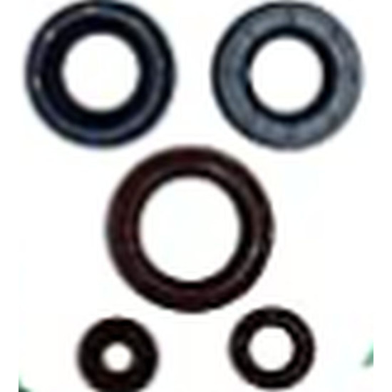 WINDEROSA (VERTEX) engine gasket set CAN-AM OUTLANDER DPS 450 EFI 15-20, OUTLANDER MAX DPS 450 EFI 15-20,