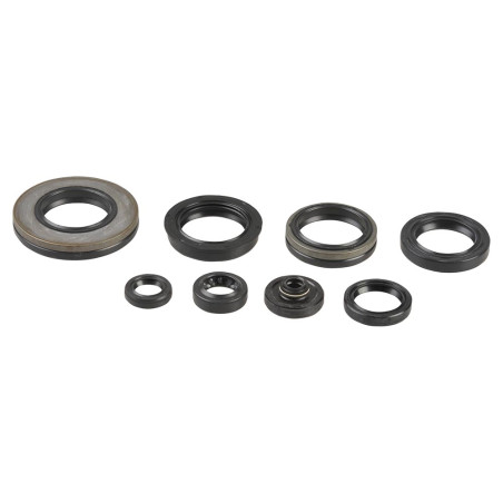 ATHENA variklio tarpinių komplektas SUZUKI RM 250 03-08