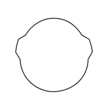 WINDEROSA (VERTEX) clutch cover gasket KTM SX 65 09-19, SXS 65 13-14, XC 65 09, HUSQVARNA TC 65 18-19, outer