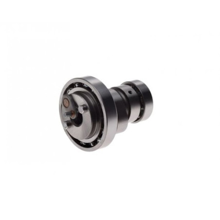 NACHMAN camshaft (set with bearing) YAMAHA X-MAX/X-CITY 125 '06-'16,YZF 125 '08-'16,WR 125X '09-'17,BETA,RIEJ