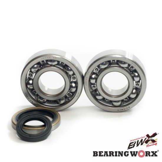 BEARING WORX crankshaft bearings with oil seals SUZUKI RM 250 96-02 (MADE IN JAPAN) (NTN) (24-1021)