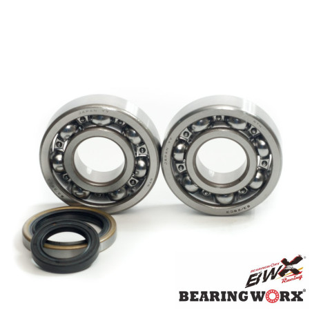 BEARING WORX crankshaft bearings with oil seals SUZUKI RM 250 96-02 (MADE IN JAPAN) (NTN) (24-1021)