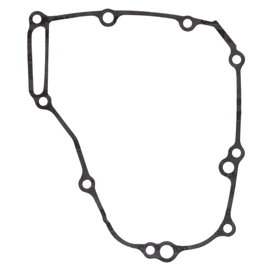 WINDEROSA (VERTEX) degimo...