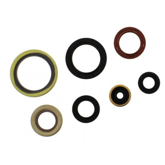 ATHENA engine gasket set KTM EXC 250/300`17-'21, EXC 250 TPI '18-'21, SX 250`17-'21, HUSQVARNA TE 250/300`17-'21