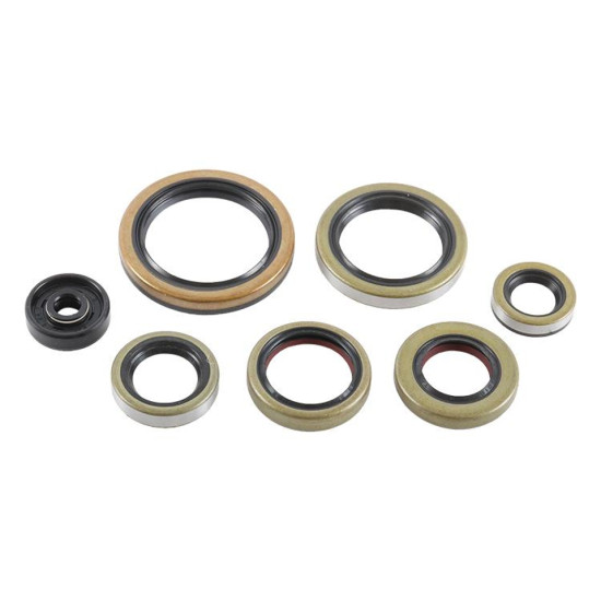 WINDEROSA (VERTEX) engine gasket set KTM SX 250 '16-'22, XC 250 '17-'22, XC 300 '17-'22, XC-W 250 '17-'22, HUSQVARNA