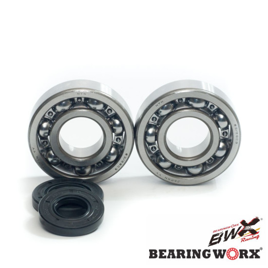 BEARING WORX crankshaft bearings with oil seals KAWASAKI KX 250 87-01 (MADE IN JAPAN) (NTN) (24-1010)