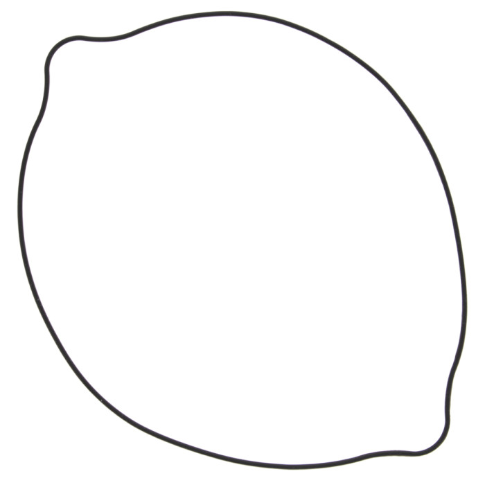WINDEROSA (VERTEX) sankabos dangtelio tarpinė SUZUKI RM 250 (RM250) 96-09 (ORING) išorinė