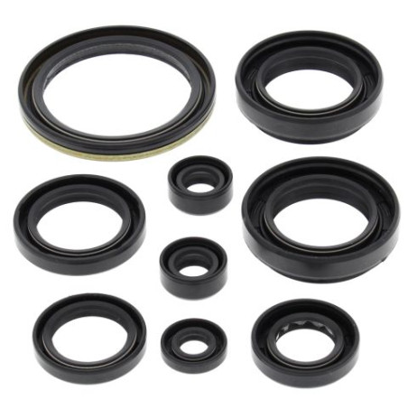WINDEROSA (VERTEX) engine gasket set ARCTIC CAT 500 4X4 W/AT' 00-'02, 500 FIS 4X4 W/AT '02-'09, SUZUKI LT-A500F QUAD