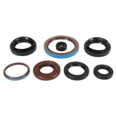 WINDEROSA (VERTEX) variklio tarpinių komplektas ARCTIC CAT 550 EFI 4X4 12-14, -14, ALTERRA 570 19-20, ALTERRA 570 EPS 19-20, PRO