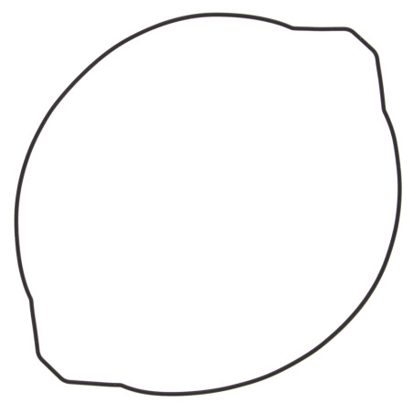 WINDEROSA (VERTEX) clutch cover gasket YAMAHA YZ 250 99-19 (ORING) outer