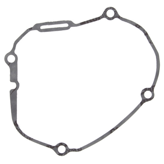 WINDEROSA (VERTEX) degimo...