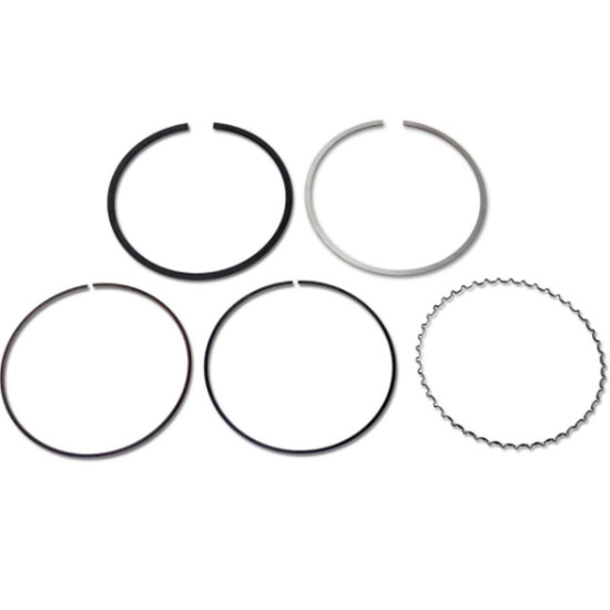 ATHENA piston rings SUZUKI RMZ 450 05-07 for 95.50mm piston S4F09550004A/B/C