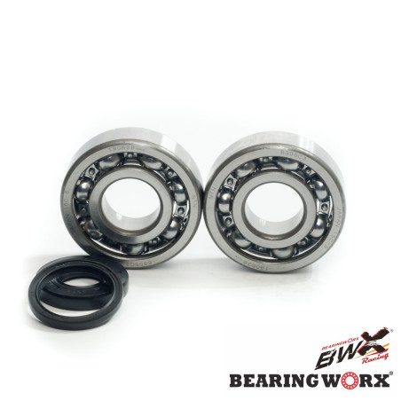 BEARING WORX crankshaft bearings with oil seals HUSQVARNA CR250 99-04, WR250 99-13, WR300 98-13 (MADE IN JAPAN) (NTN) (24-