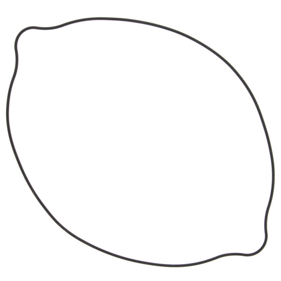 WINDEROSA (VERTEX) clutch cover gasket SUZUKI RM250 (RM 250) 90-95, RMX250 89-99 outer (O-RING)