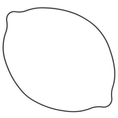 WINDEROSA (VERTEX) sankabos dangtelio tarpinė SUZUKI RM250 (RM 250) 90-95, RMX250 89-99 išorinė (O-RING)