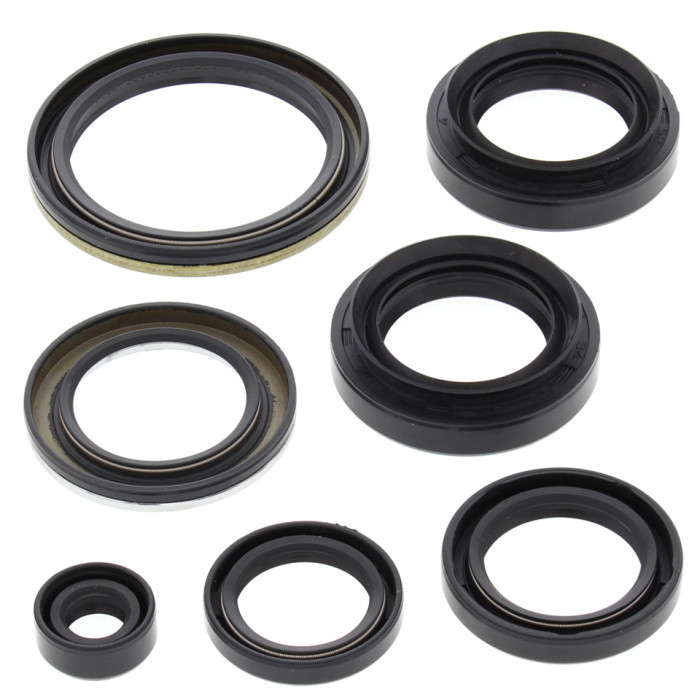 WINDEROSA (VERTEX) Engine Intermediate Kit Arctic Cat 400 4x4 W / At '03 -'04, 400 Fis 4x4 W / At '03 -'05, LT-A400F 4WD King Qu
