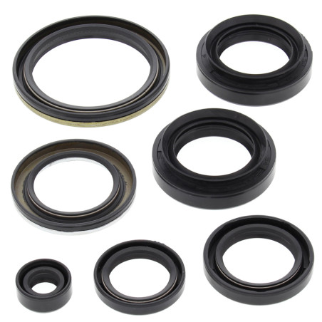 WINDEROSA (VERTEX) Engine Intermediate Kit Arctic Cat 400 4x4 W / At '03 -'04, 400 Fis 4x4 W / At '03 -'05, LT-A400F 4WD King Qu