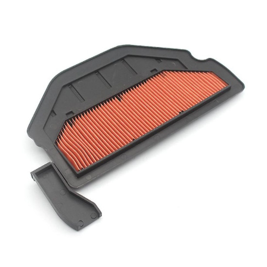 BIKETEC DALIŲ ORO FILTRAS HONDA CBR 900RR(929) '00-01, (OEM 17210-MCJ-003)