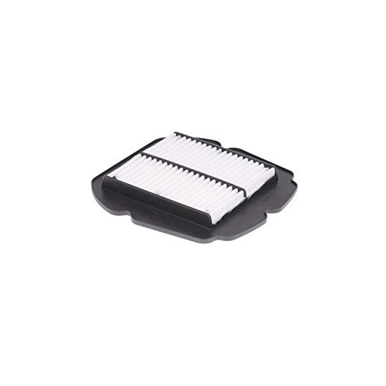 BIKETEC DALYS ORO FILTRAS SUZUKI SFV 650 GLADIUS 09-14 (HFA3618)