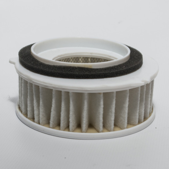 BIKETEC DALYS ORO FILTRAS YAMAHA XVS 650 DRAG STAR '97-05, XVS 650 V-STAR '98-11, (OEM 4TR-14451-00-00) (HFA4607)