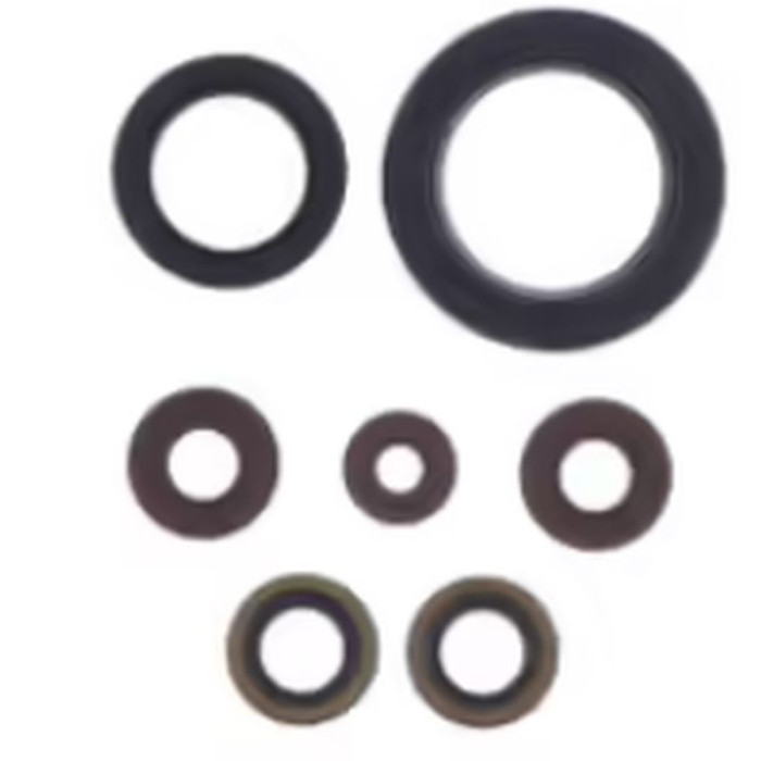 ATHENA engine gasket set SHERCO SEF-R 250/300 14-20