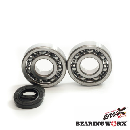 BEARING WORX alkūninio veleno guoliai su riebokšliais KAWASAKI KDX 200 '91-'06, KDX 220 '97-'05 (MADE IN JAPAN) (NTN) (24-1045)