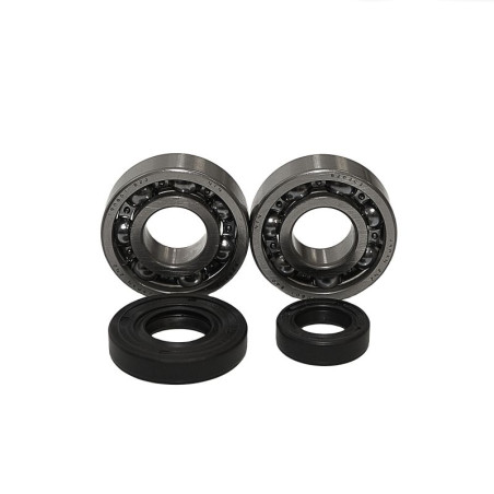 BEARING WORX alkūninio veleno guoliai KTM SX 50 '02-'08 (NTN) (24-1101)