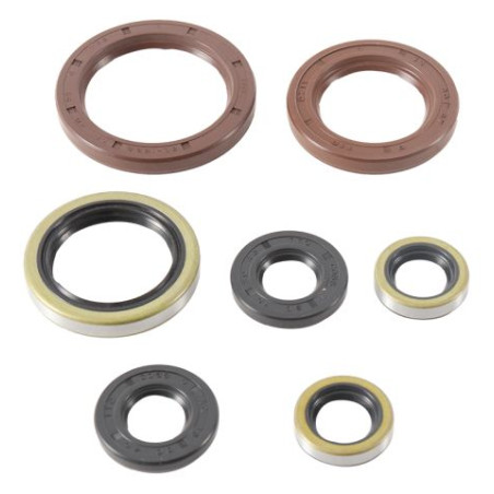 WINDEROSA (VERTEX) engine gasket set GAS-GAS EX250F 21, HUSQVARNA FC 250/350 16-21, FE 250/350 17-21, KTM EXC-F 250 1