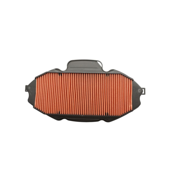 BIKETEC DALYS ORO FILTRAS HONDA CTX 700 '14-18, NC 750 '14-20, INTEGRA 700 '12-20, (OEM 17210-MGS-D30) (HFA1715)