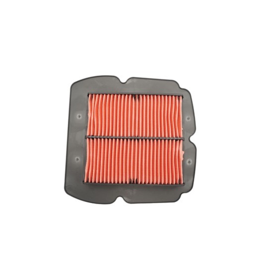 BIKETEC DALYS ORO FILTRAS SUZUKI SV 650 / SV 650S '03-15, (OEM 13780-16G00) (HFA3612)