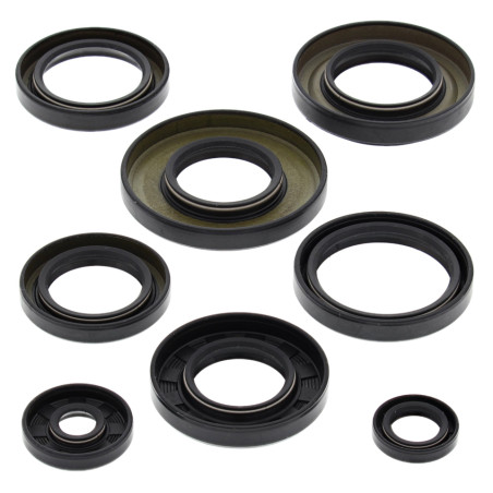 WINDEROSA (VERTEX) variklio tarpinių komplektas YAMAHA YFM350 GRIZZLY 07-14 BRUIN 04-06 WOLVERINE 06-09