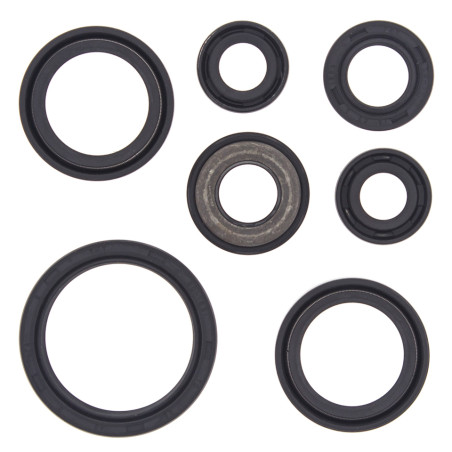 WINDEROSA (VERTEX) variklio tarpinių komplektas YAMAHA YFM660 RAPTOR 01-05, YFM660 RHINO 04-07