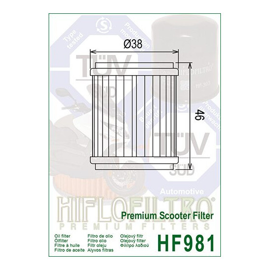 ALYVOS FILTRAS HIFLO HF981
