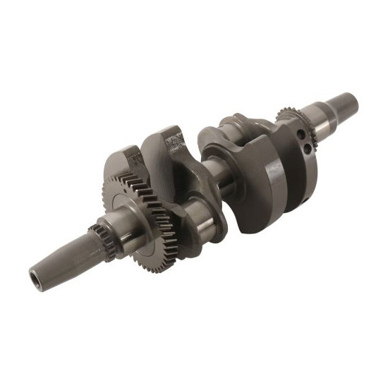 HOT RODS Crankshaft Polaris...
