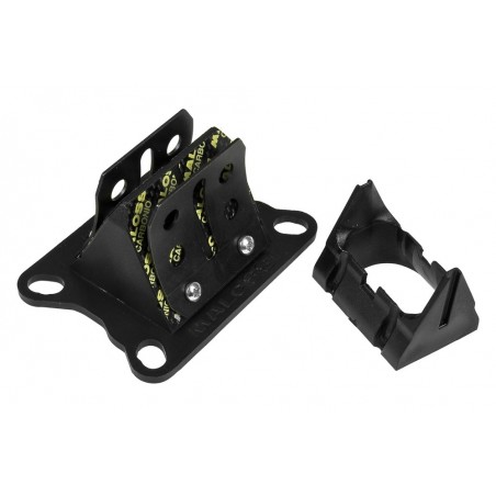 Malossi VL6 Carbon reed valves with housing for Derbi / Minarelli AM6