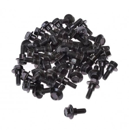 Mounting screw, M6x17 (1 pc.)