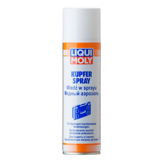 LIQUI MOLY VARIO PURŠKALAS 250ML (6)