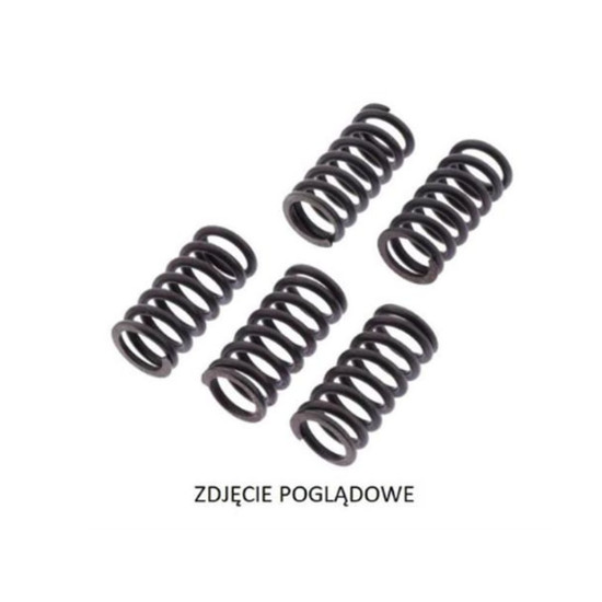 CLUTCH SPRING SET EBC CSK 12/4 SUZUKI DR 800