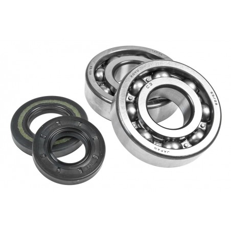 Kawasaki KX 250 (94-01) crankshaft bearing kit