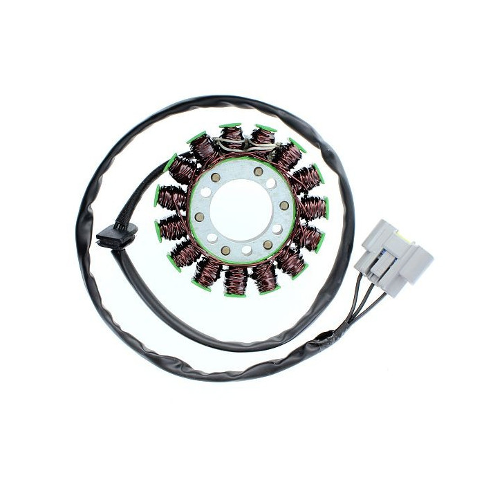 ELECTROSPORT windings BMW S 1000RR 09-17, BMW S 1000RR 13-17, HP4 12-15