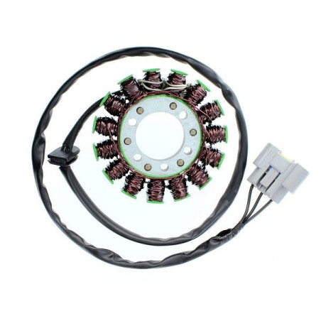 ELECTROSPORT apvijos BMW S 1000RR 09-17, BMW S 1000RR 13-17, HP4 12-15