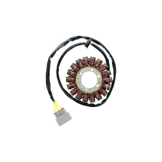 ELECTROSPORT apvijos BMW...