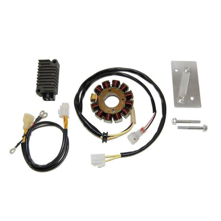 ELECTROSPORT apvijos KTM EXC 400/450/520/525 HIGH POWER su įtampos reguliatoriumi