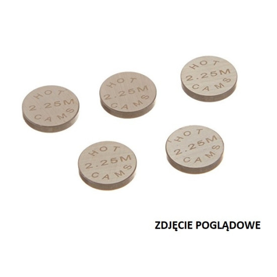 HOT CAMS VALVE PLATE 10.00 X 2.20MM (1 PCS) (5PK1000220)
